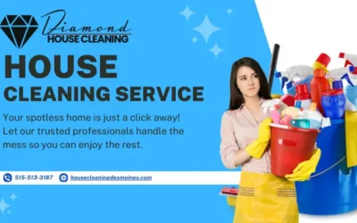 Cleaning Company vs. Solo Cleaner: Which is Best for Iowa Homes?